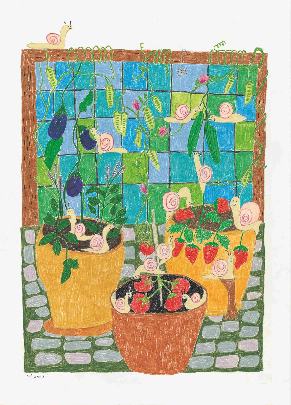 Snails Garden