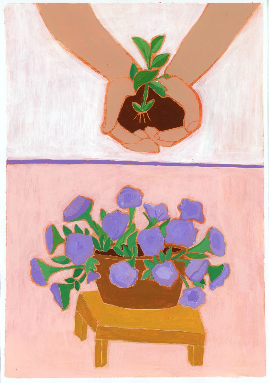 Petunia