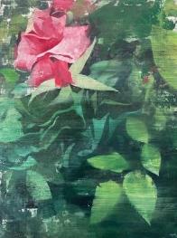 Pink Rose