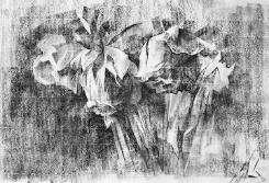 Dead Roses