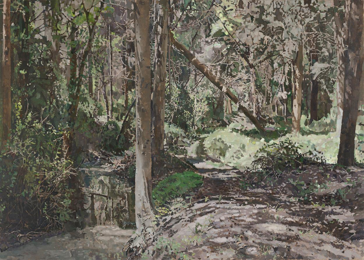 As If It's Europe - JNF forest in Gahar Stream