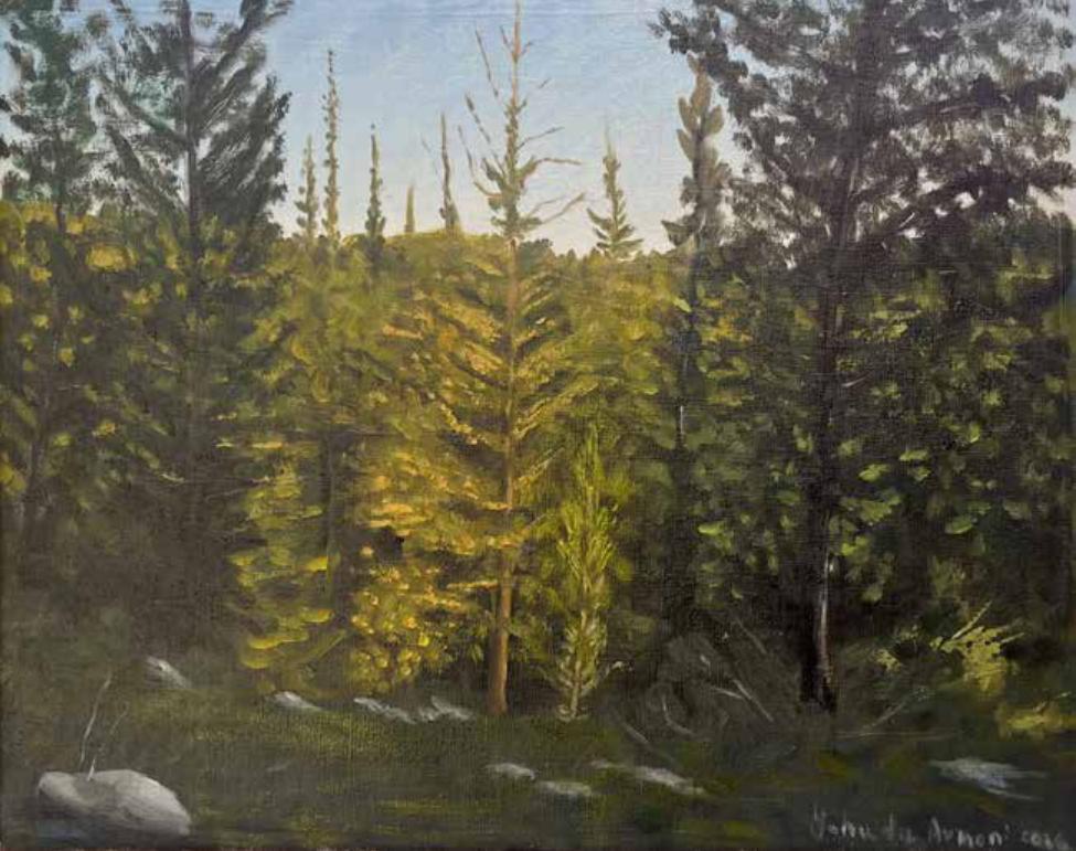 Light in Ben Shemen Forest