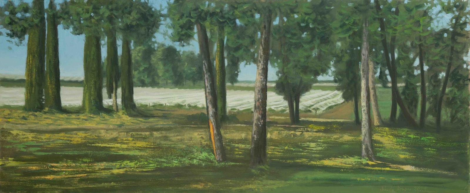 Grove and Vineyard in Lachish