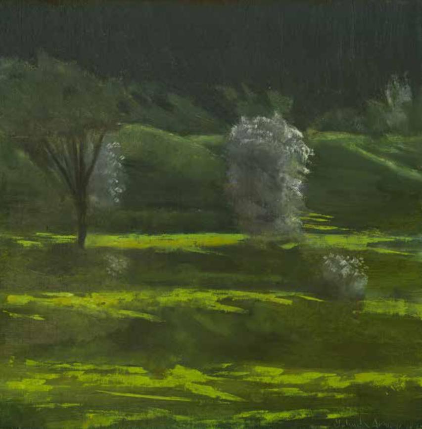 Almond Trees on Titora Hill, with dark backround