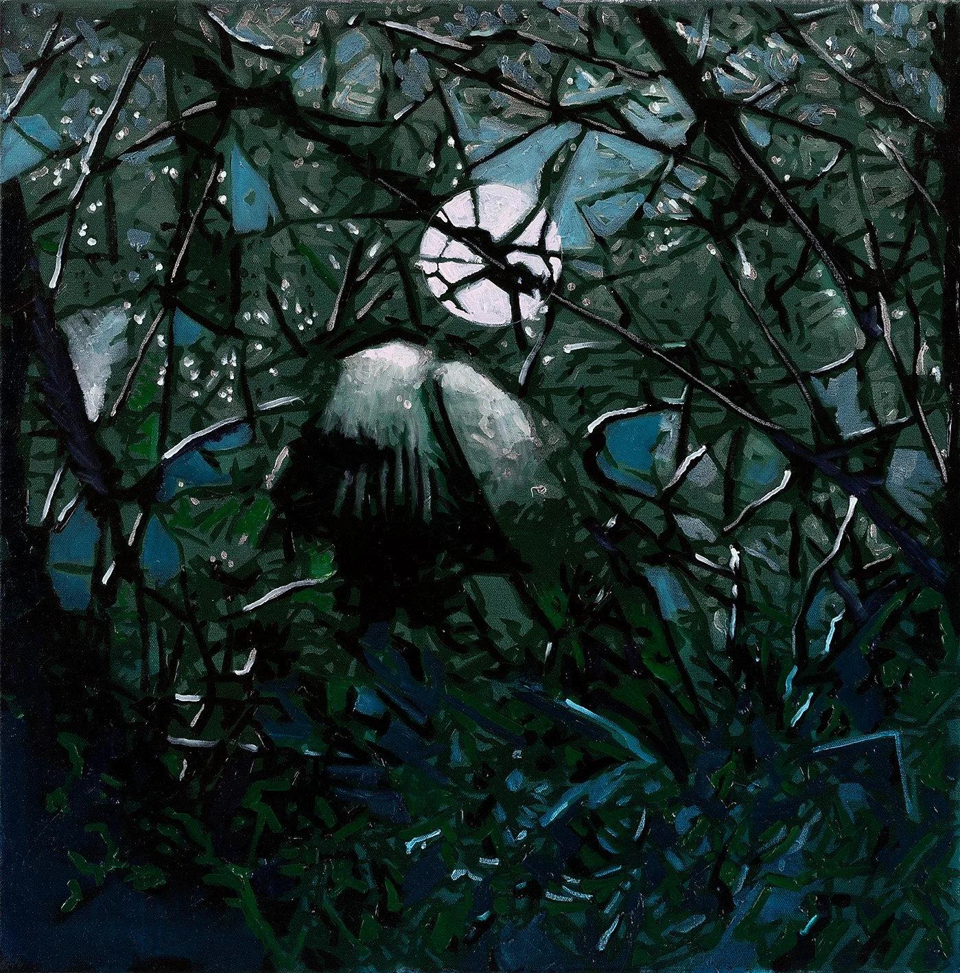 Echolocation IV
