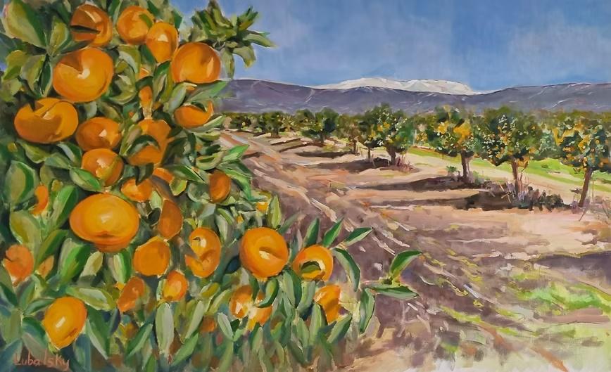 Orchards in the Hula Valley