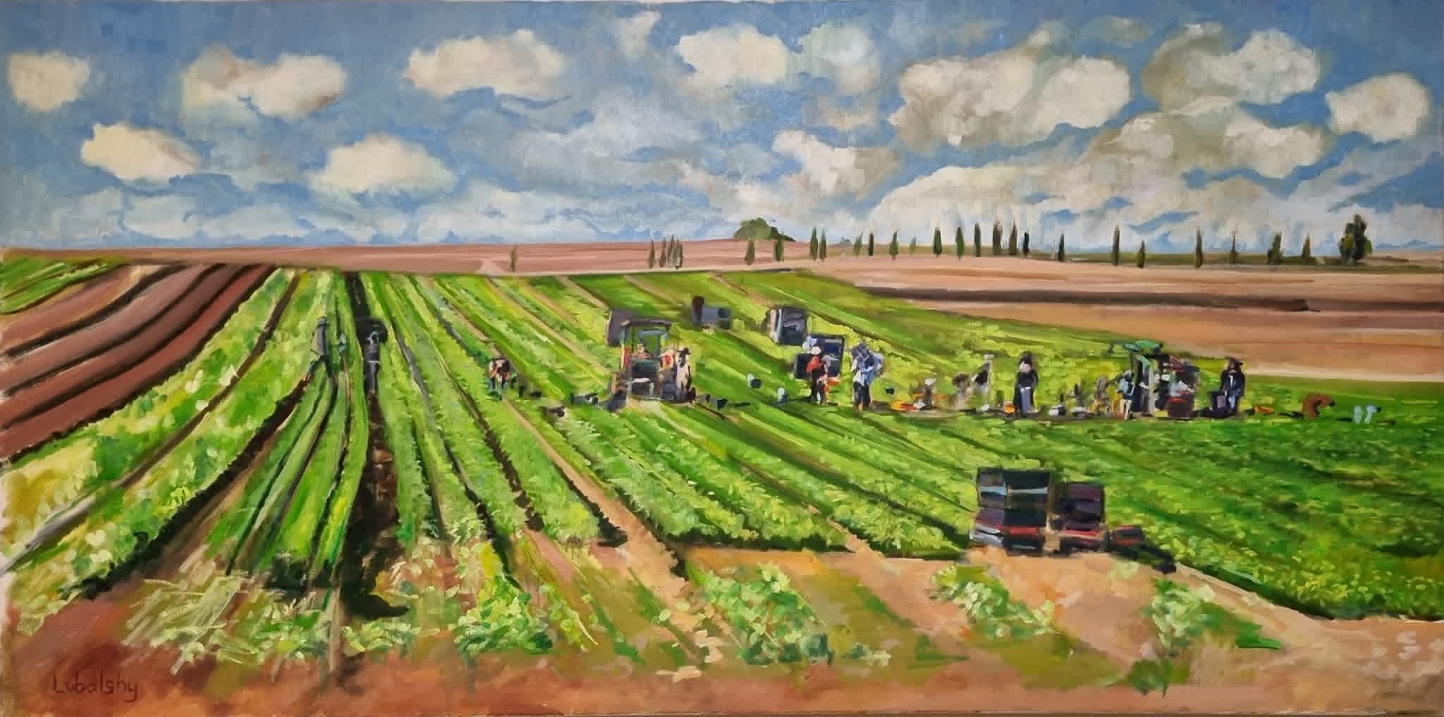 Agriculture Fields