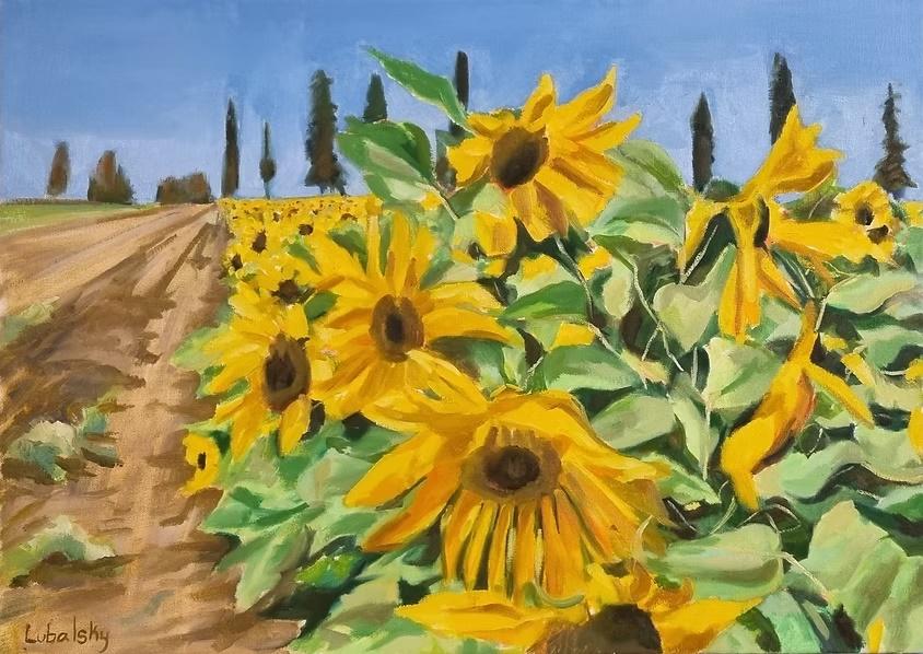 Sunflower Field