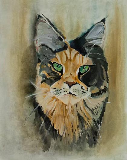 Cat