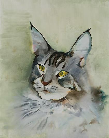 Cat portrait