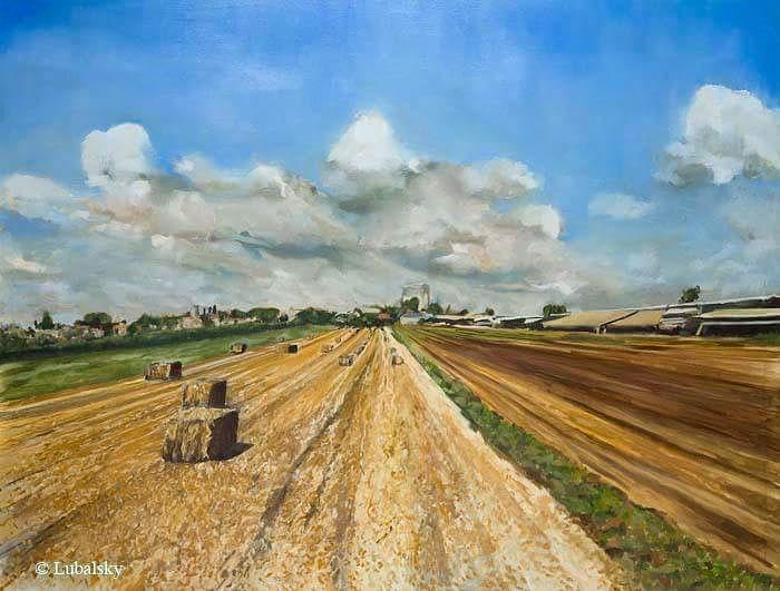 Harvest in the Jezreel Valley