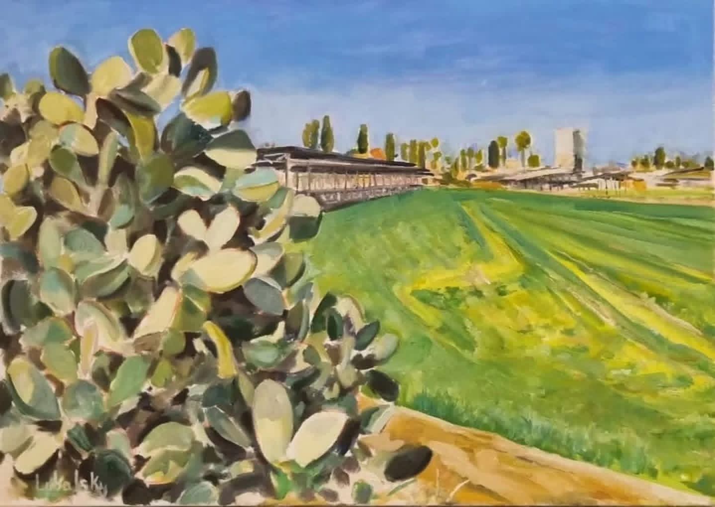Sabra - fields of Kfar Yehoshua