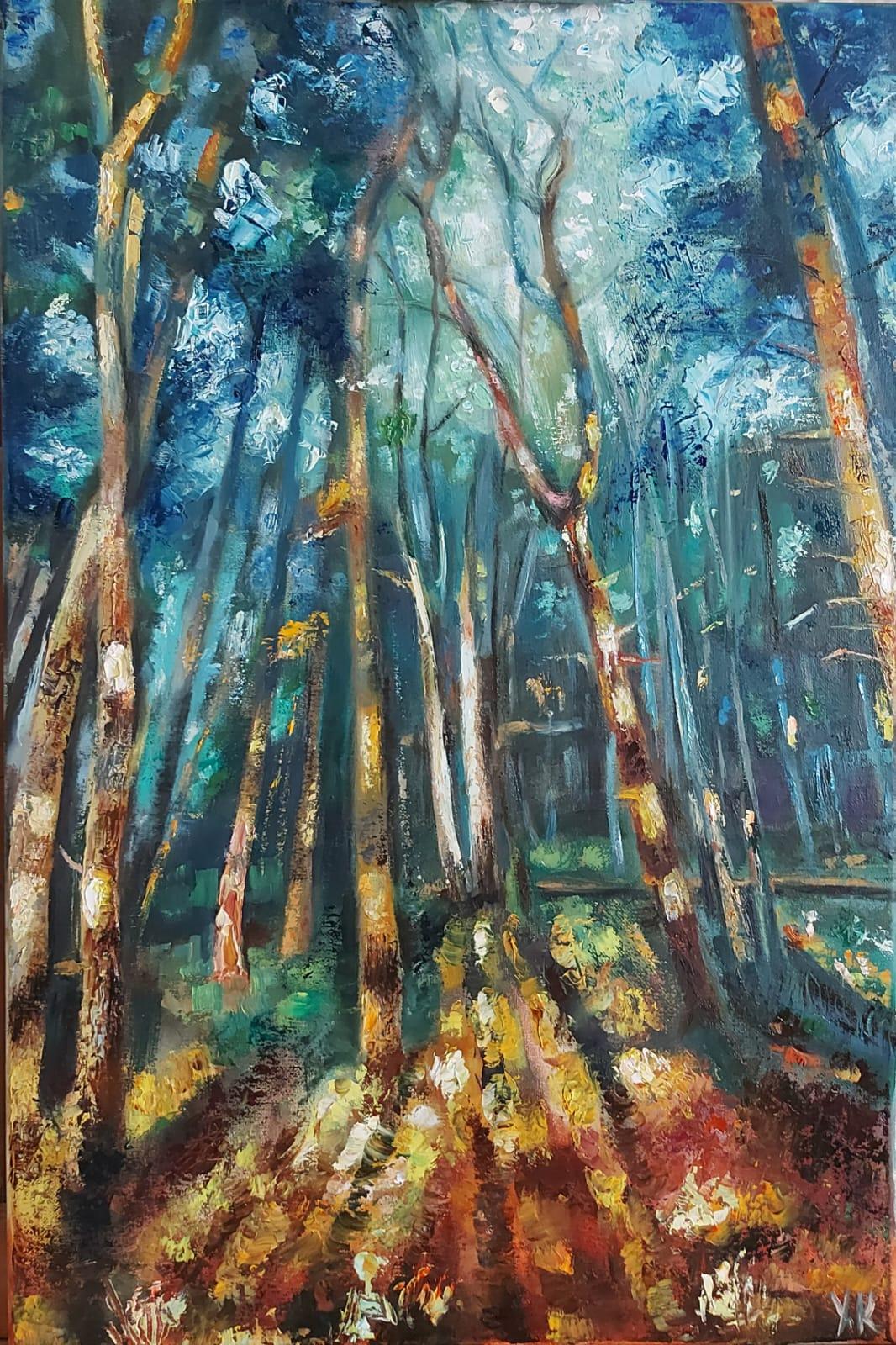 Sunset in the Forest
