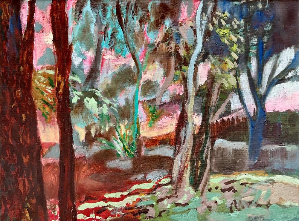 Enchanted Forest