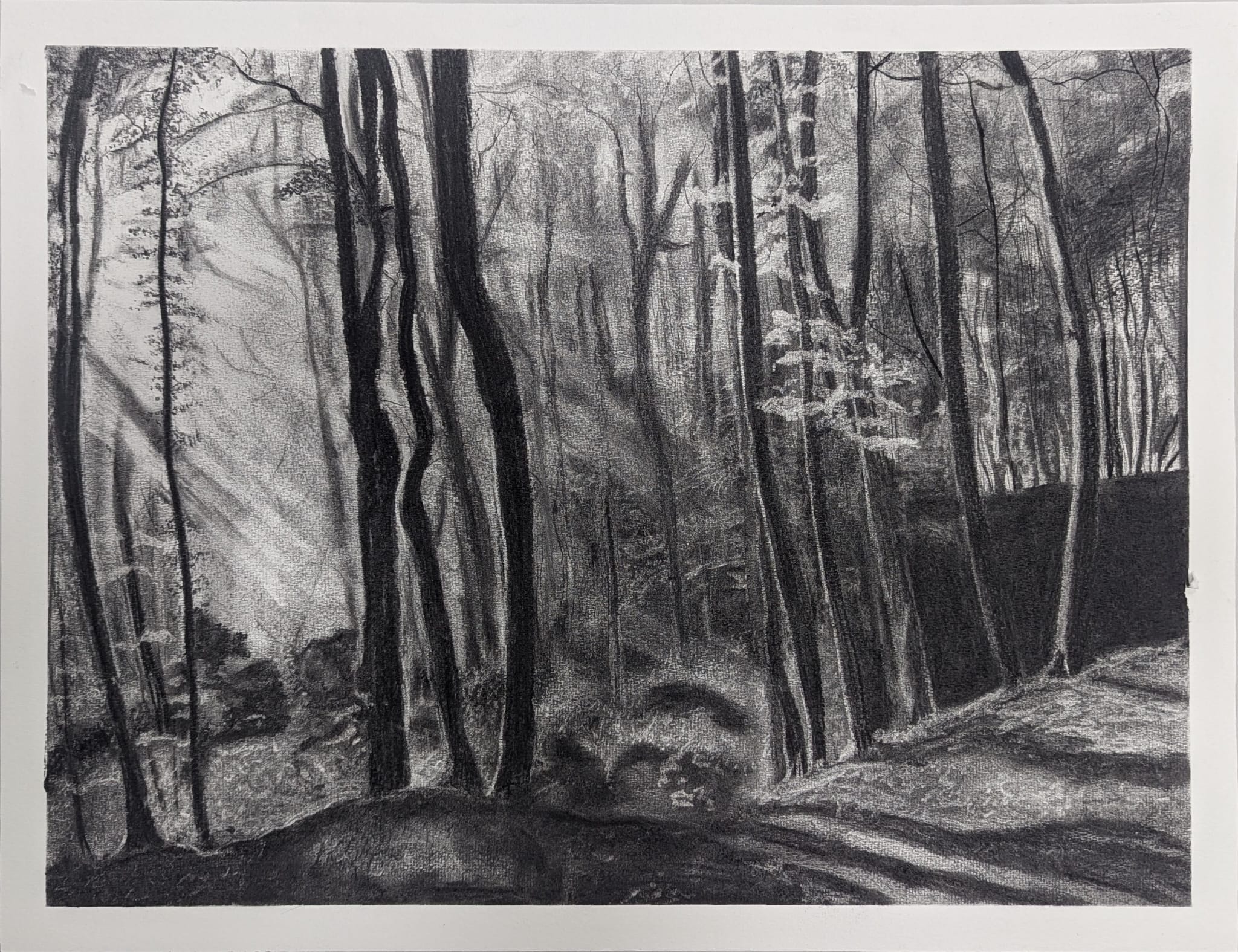 Feminine Forest