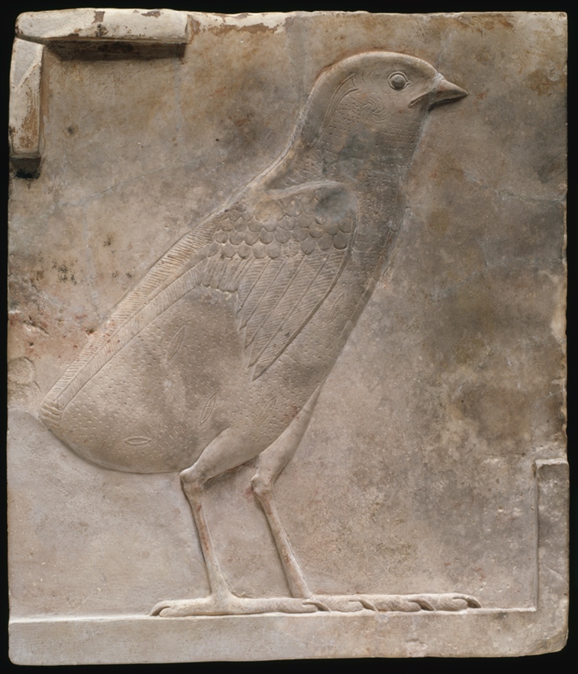 Plaque Depicting a Quail Chick