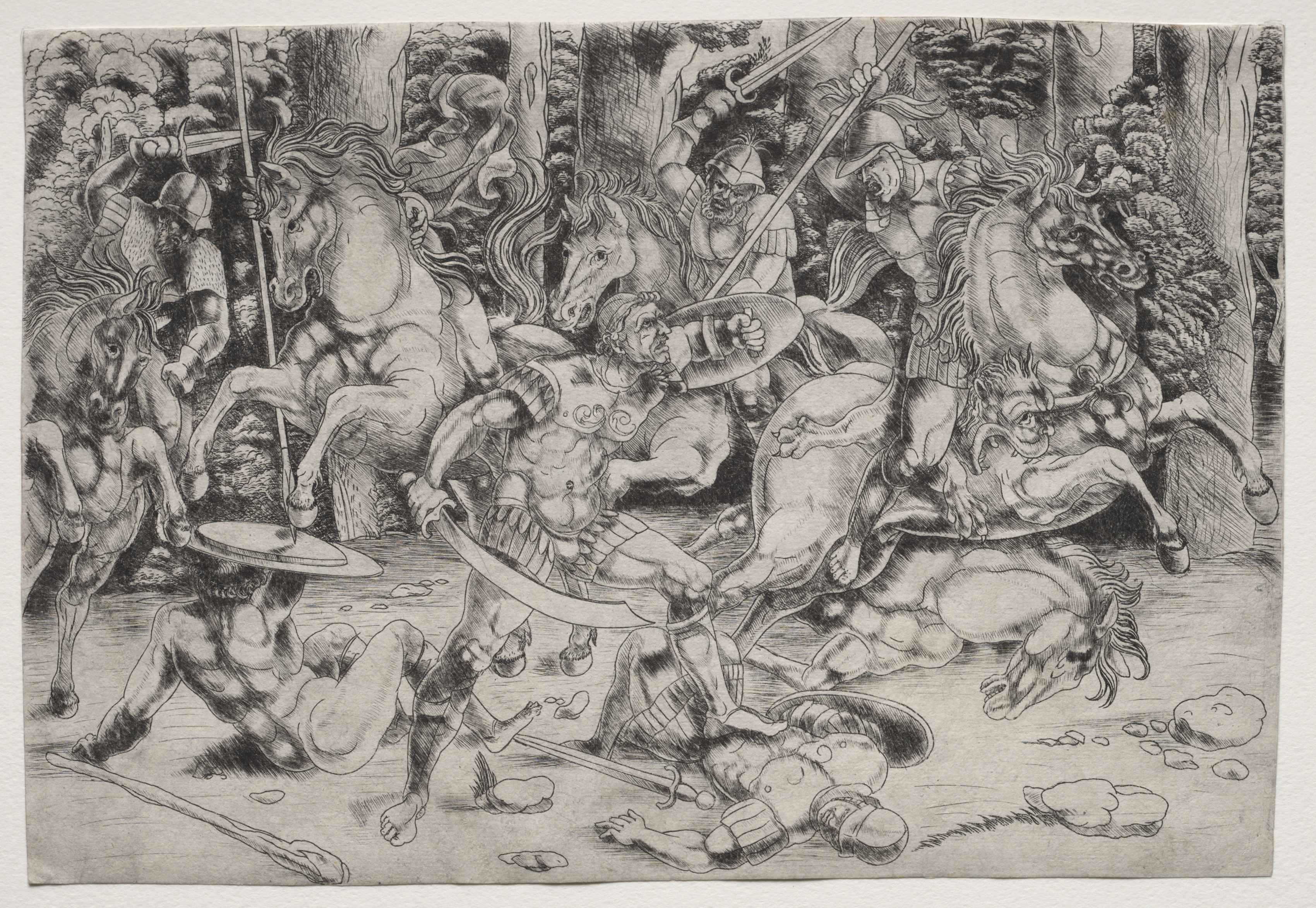 Battle in a Wood