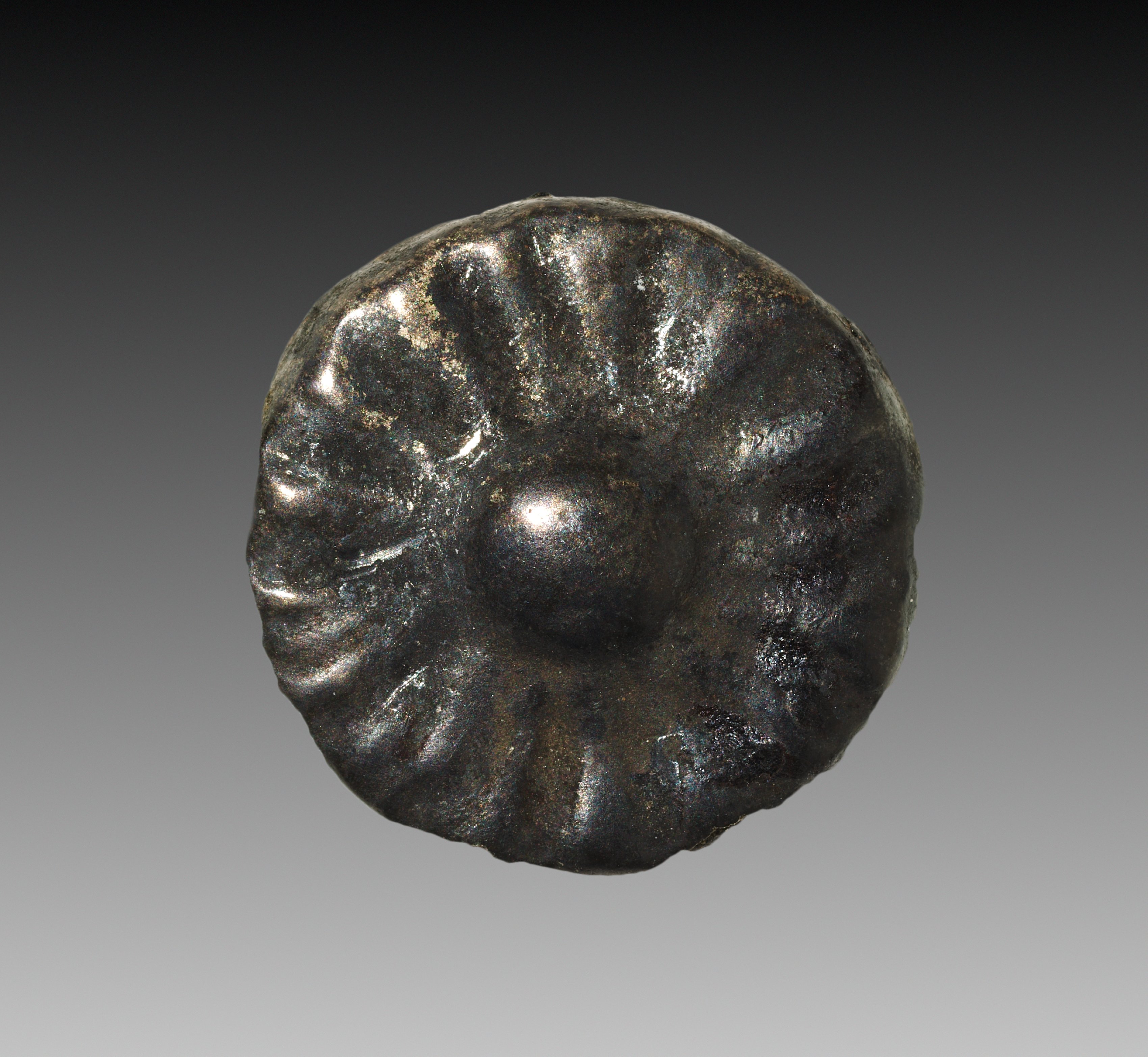 Rosettes for Wig Decoration